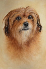 Listing 2 of 2 for Portrait s