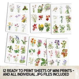 Listing 3 of 4 for 100 Vintage Botanical Floral Prints - Digital Download