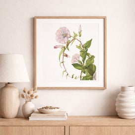 Listing 4 of 4 for 100 Vintage Botanical Floral Prints - Digital Download