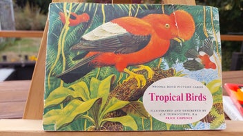 Listing 2 of 8 for 1961 Brooke Bond Picture Cards - Tropical Birds