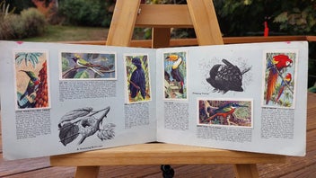 Listing 4 of 8 for 1961 Brooke Bond Picture Cards - Tropical Birds