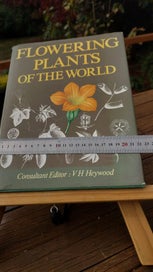 Listing 6 of 9 for 1978 Big Beautiful Book - Flowering Plants of the World