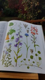 Listing 5 of 9 for 1978 Big Beautiful Book - Flowering Plants of the World