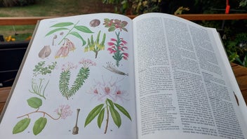 Listing 3 of 9 for 1978 Big Beautiful Book - Flowering Plants of the World