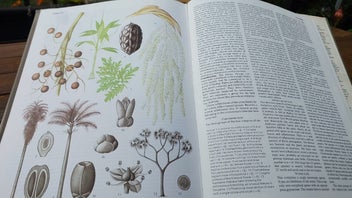 Listing 8 of 9 for 1978 Big Beautiful Book - Flowering Plants of the World
