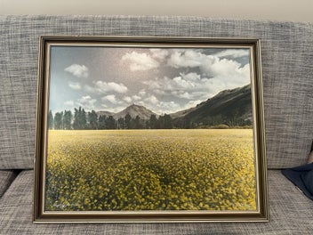 Listing 3 of 10 for Whites Aviation: Otago Field in Flower