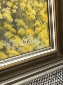 Listing 4 of 10 for Whites Aviation: Otago Field in Flower