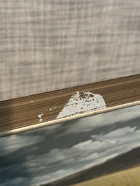 Listing 8 of 10 for Whites Aviation: Otago Field in Flower