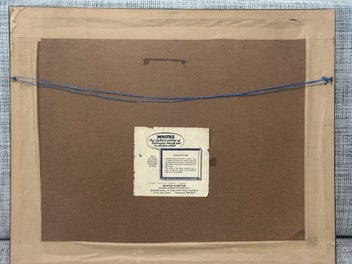 Listing 9 of 10 for Whites Aviation: Otago Field in Flower