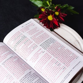 Listing 3 of 5 for NKJV, End-of-Verse Reference Bible, Personal Size Large Print, Leathersoft, Pur