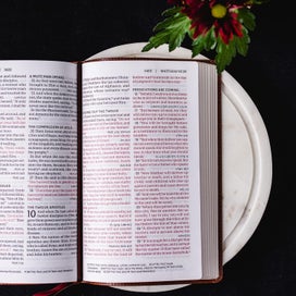 Listing 4 of 5 for NKJV, End-of-Verse Reference Bible, Personal Size Large Print, Leathersoft, Pur