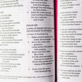 Listing 5 of 5 for NKJV, End-of-Verse Reference Bible, Personal Size Large Print, Leathersoft, Pur