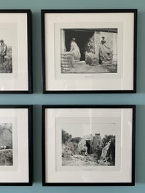 Listing 4 of 8 for Set of six Northwood Brothers NZ pioneer photographers .