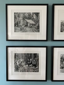 Listing 2 of 8 for Set of six Northwood Brothers NZ pioneer photographers .