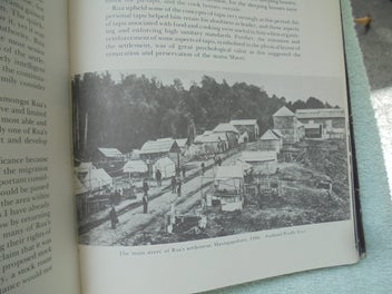 Listing 20 of 20 for 'RUA (Kenana) AND THE MAORI MILLENIUM- (Maungapohatu)- Webster- 1979- 1st.- 328p