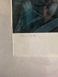 Listing 3 of 4 for The Shape of Water