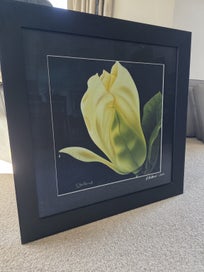 Listing 2 of 6 for Framed print