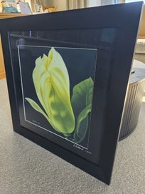 Listing 3 of 6 for Framed print