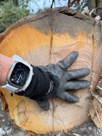 Listing 3 of 3 for Cherry Tree for timber