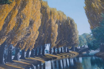 Listing 3 of 6 for HUGE Whites Aviation - Avon River