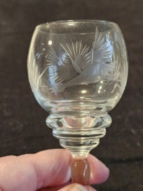 Listing 4 of 10 for 3 Vintage Bohemian Czech Etched Cordial Glasses bird/floral Pattern