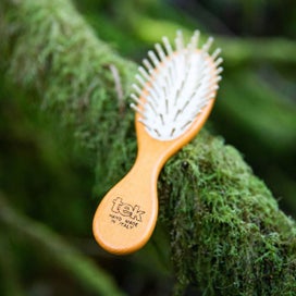 Listing 4 of 5 for Small Oval Ash Wood Purse Brush - Tek in Black, Green, Light Blue, Lime, Natu...