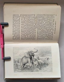 Listing 9 of 9 for Lion-Hearted, BISHOP HANNINGTON'S Life for Boys & Girls (1923)