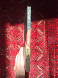 Listing 6 of 8 for YOSHITAKA AMANO: "Alice Erotica" Art Book(1999)