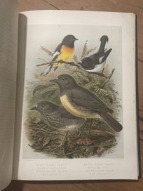 Listing 3 of 9 for Buller's Birds of New Zealand 1888 2-volume RARE