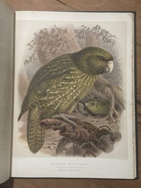 Listing 7 of 9 for Buller's Birds of New Zealand 1888 2-volume RARE