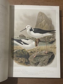 Listing 8 of 9 for Buller's Birds of New Zealand 1888 2-volume RARE