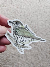 Listing 11 of 11 for Aotearoa native bird die-cut vinyl stickers - SINGLE