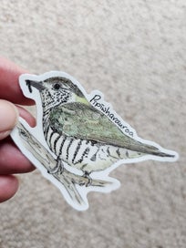 Listing 11 of 11 for Aotearoa native bird die-cut vinyl - 5 stickers