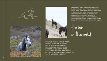 Listing 4 of 5 for Wild Horse Week