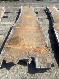 Listing 9 of 16 for 10 × Ancient Swamp Kauri Slabs (LG34)