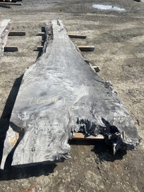 Listing 12 of 16 for 10 × Ancient Swamp Kauri Slabs (LG34)