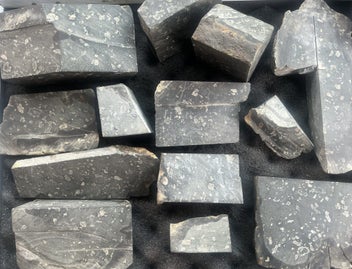 Listing 17 of 19 for RARE CM STONY IRON COARSE OCTAHEDRITE METEORITE. VERY RARE.