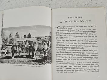 Listing 7 of 11 for Old Duke – The Story of a Hard-case Horse | Mona Anderson | 1977 NZ