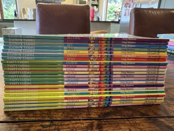 Listing 4 of 4 for Rainbow Magic 21 Book Pack