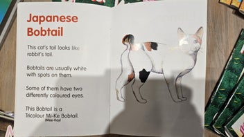 Listing 4 of 4 for Reading Master