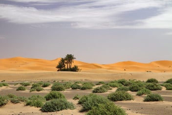 Listing 20 of 20 for Premium 15-Day Private Morocco Tour | Desert, Riads & Local Experiences