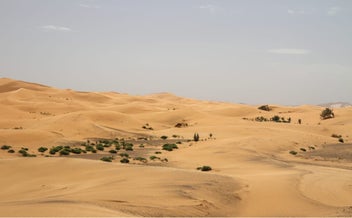 Listing 18 of 20 for Premium 15-Day Private Morocco Tour | Desert, Riads & Local Experiences