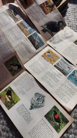 Listing 2 of 7 for 3 x Vintage GREGGS JELLY Card Books