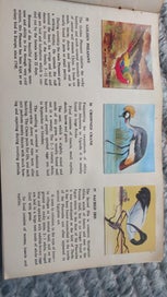 Listing 5 of 7 for 3 x Vintage GREGGS JELLY Card Books