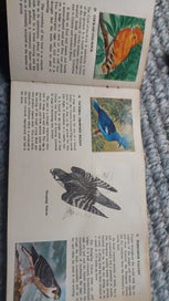 Listing 6 of 7 for 3 x Vintage GREGGS JELLY Card Books