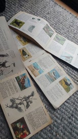 Listing 7 of 7 for 3 x Vintage GREGGS JELLY Card Books