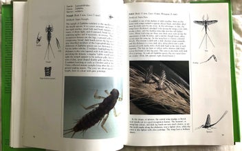 Listing 4 of 11 for Trout Stream Insects of New Zealand: How to Imitate & Use Them - Norm Marsh 1st