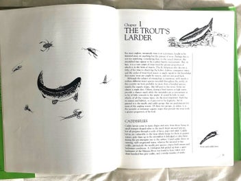Listing 5 of 11 for Trout Stream Insects of New Zealand: How to Imitate & Use Them - Norm Marsh 1st