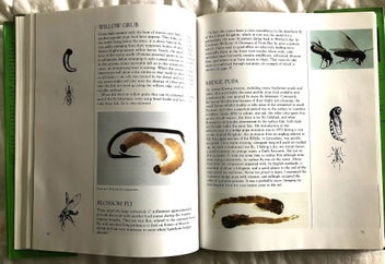 Listing 10 of 11 for Trout Stream Insects of New Zealand: How to Imitate & Use Them - Norm Marsh 1st