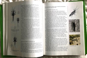 Listing 11 of 11 for Trout Stream Insects of New Zealand: How to Imitate & Use Them - Norm Marsh 1st